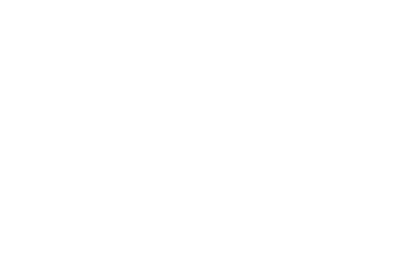 Flybright Pilot Academy